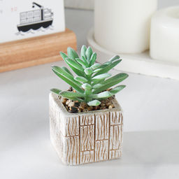 Цветочная композиция Кактус / WER-15 /уп 12/288/ микс - Галеонтрейд фото 6