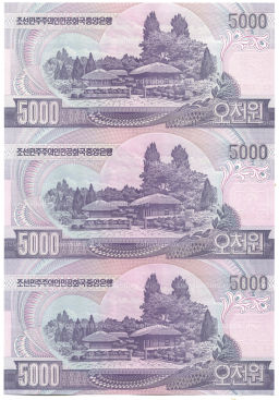 5000 вон 2006 года Северная Корея Лист из трех банкнот