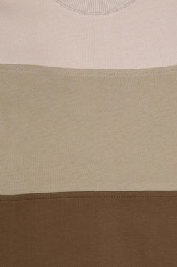 Erkek _ocuk Haki Basic Bisiklet Yaka Sweatshirt - U.s. polo assn фото 4