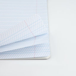 Тетрадь 12 листов в частую косую линейку Учись на 5+, обложка мелованный картон, блок №1, 5 видов МИКС - Artfox study фото 14