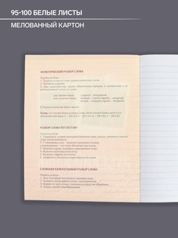 Цена за 10 шт. Предметная тетрадь по русскому языку Calligrata «Фото», 48 листов, в клетку, со справочным материалом, обложка из мелованного картона