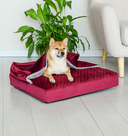 ВИА Лежак-норка "Rivoli", прямоугольный, со съемным чехлом, 60х50 см, бордовый 56та89 Не заказывать