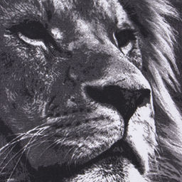 Набор кухонных полотенец Доляна. Самый лучший мужчина, 35?60 см - 4 шт., 100% хлопок, 160 г/м?