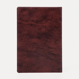 Цена за 2 шт. Обложка для паспорта, искусственная кожа, тиснение золотого цвета, бордовая