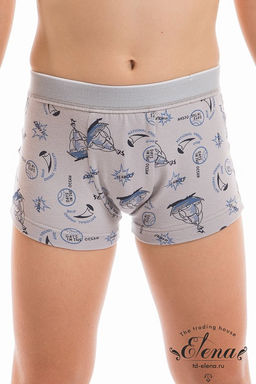 Боксеры М21827с серый