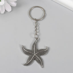 Цена за 12 шт. Брелок для ключей на кольце «Морская звезда», металл, 4.8×4.3 см