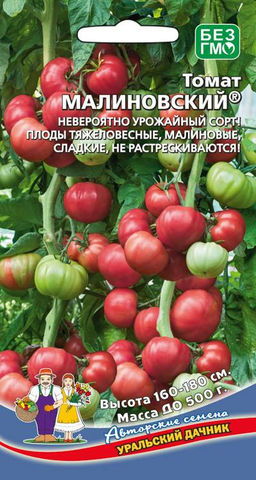 Томат МАЛИНОВСКИЙ Невероятно урожайный сорт! Плоды тяжеловесные, малиновые, сладкие, не растрескиваются!