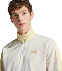 Спортивный костюм мужской