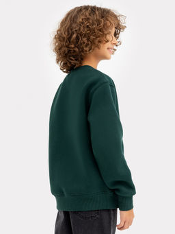 Джемпер для мальчиков зеленый с печатью - Mark formelle фото 10