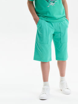 BFH3352//3U Шорты для мальчика