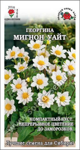 Георгина Мигнон Уайт 0,2г (Золотая сотка Алтая)