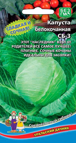 Капуста СБ-3 F1  Проверен опытом поколений! Никогда не подводит! Гибрид Слава х Белорусская! Кочаны сочные, сладкие, плотные! Идеальны для засолки!