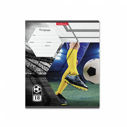 Цена за 200 шт. Тетрадь школьная ученическая ErichKrause Dribbling, 18 листов, клетка (в плёнке по 10 шт.)  фото 16