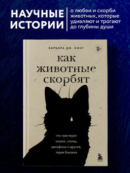 Как животные скорбят. Что чувствуют кошки, слоны, дельфины и другие, теряя близких