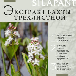 Силапант Дневной крем для лица