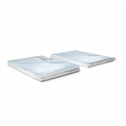 Цена за 2 шт. Блокнот с пластиковой обложкой на спирали ErichKrause Mangа, А5, 80 листов, клетка_MIX-PACK фото 6