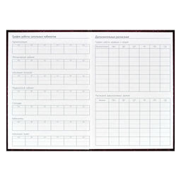 Ежегодник учителя арт. 62336 БОРДОВАЯ ФАКТУРА - Феникс+ фото 2