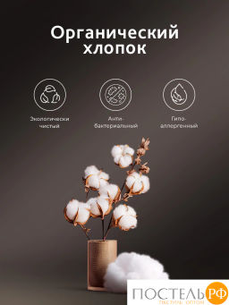 Одеяло CASSIA ШАЛЕ хл-тик/пух утиный, 700 г  фото 4