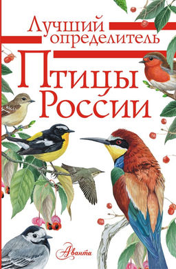 Птицы России