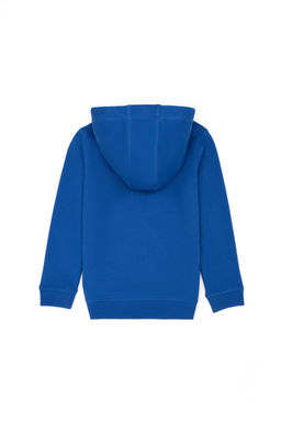 Толстовка детская U.S. Polo Assn Saks Basic с капюшоном хлопок  фото 8