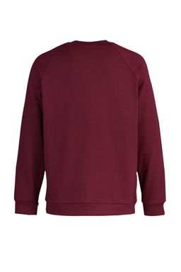 TRENDYOL MAN Bordo Regular/Normal Kesim Ici Polar/S?cak Tutan Sweatshirt TMNAW23SW00189 - Trendyolmilla фото 32