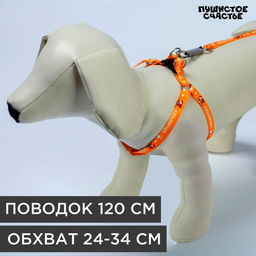 Комплект Любимчик, шлейка 24-34 см, поводок 120х1 см