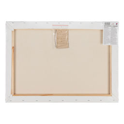 Холст грунтованный на подрамнике VISTA-ARTISTA ACFG-5070 100% хлопок 50 х 70 см 320 г/кв.м 2 шт Плещеевский мелкозернистый