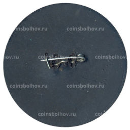 Значок Московский международный марафон мира