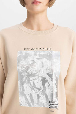 Толстый свитшот Relax Fit с круглым вырезом - Defacto фото 6