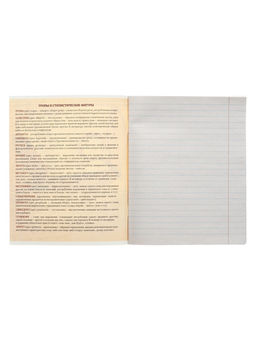 Тетрадь предметная Металл, 48 листов в линейку Литература со справочным материалом, обложка мелованный картон, блок №2, белизна 75% (серые листы) - Calligrata фото 6