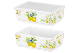 Набор 2 блюд д/холодца 700 мл 19*12*11,5 см Лимоны NEW BONE CHINA - Elan gallery фото 10