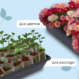 Ящик для рассады, 40×20×10 см, 4 л, пластик, МИКС