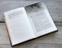 Тени. Похищенные души (#2)