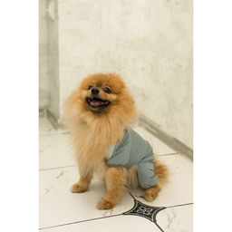 Комбинезон зимний для животных, флис, XL (ДС 32-34, ОШ 32, ОГ 40-44 см), серый - Simaland фото 15