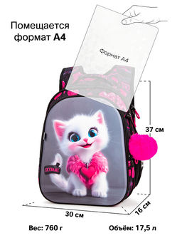 Рюкзак SkyName set-R1-084 + мешок для обуви, папка, пенал, кошелек, бейдж,канц. набор,брелок помпон  фото 13