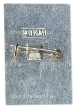 Значок Общество охраны памятников истории и культуры РСФСР