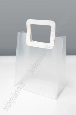 Пакет подарочный 23*27*13 см (12 шт) SF-8122, белый