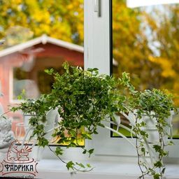 Подставка для цветов на подоконник14-903 на 3 цветка - Фабрика интерьерной ковки фото 2