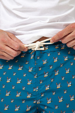Шорты ЗАПОРОЖЕЦ Classic Ducks TEAL  фото 3