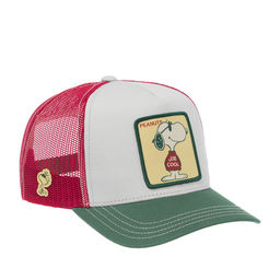 Бейсболка CAPSLAB арт. CL/PEA/1/JOE Peanuts Snoopy (светло-серый / зеленый) фото 3