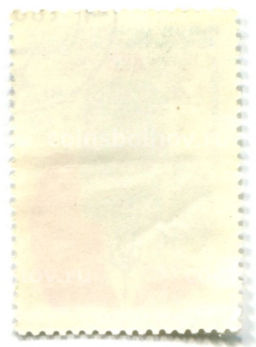 Марка XXV лет Советско-Индийской судоходной линии 1981 год