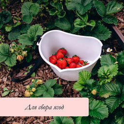 Цена за 2 шт. Ёмкость для сбора ягод, 3 л, белая