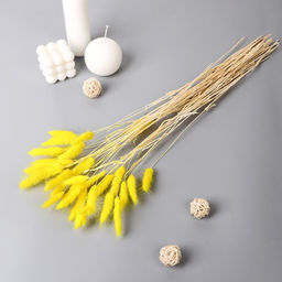 Цена за 30 шт. Декор сухоцвет Лагурус 65 см, жёлтый (фасовка 30 шт, цена за 1 шт)