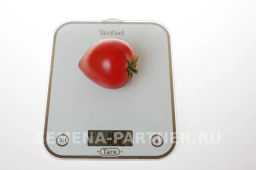 Томат Деметра - Партнер фото 6