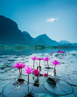 Алмазная мозаика на подрамнике 40х50