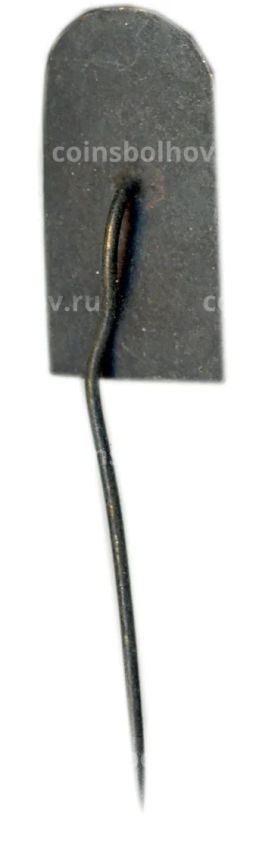 Значок Каунас