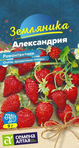 Земляника Александрия 0,03 (Семена Алтая)