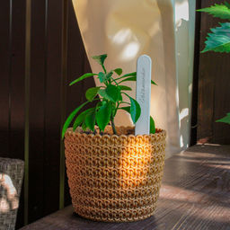 Ярлык садовый для маркировки растений 15см, полипропилен, белый, набор 20шт (Беларусь)