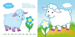 Раскраска Каляка-Маляка РИСУЕМ ПАЛЬЧИКАМИ "Домашние животные", 12 страниц РПКМ-ДЖ