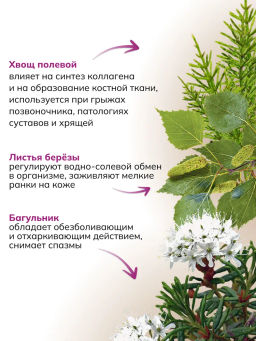 Банный сбор ФИТОПАР-6 Остеохондрозный 500 г Алфит 1231  фото 6